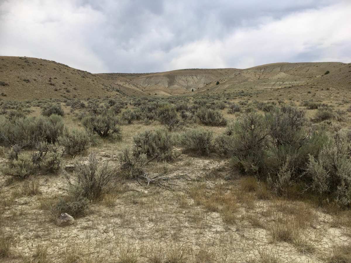 Muddy Creek Road photo 5