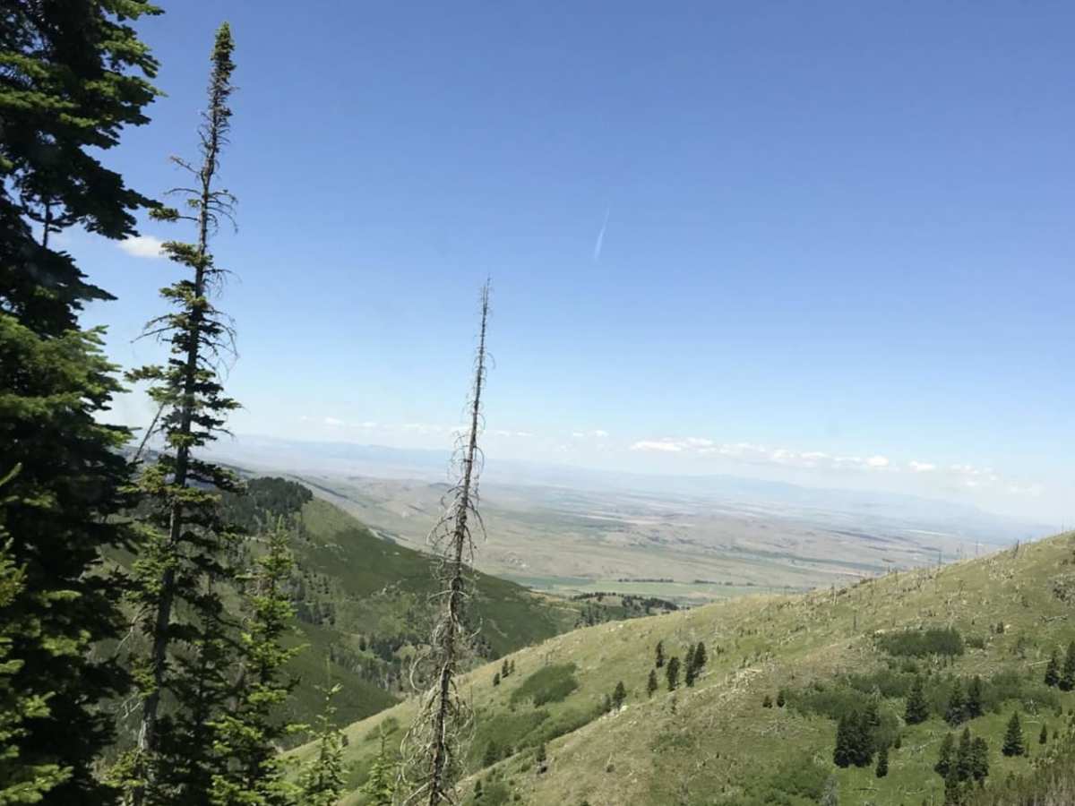 Wilson Creek Divide Road photo 4