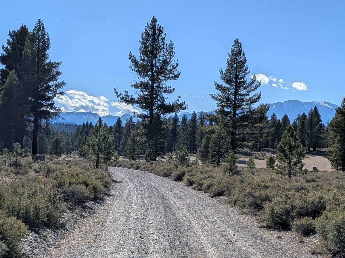 Sand Flat Cutoff photo 5