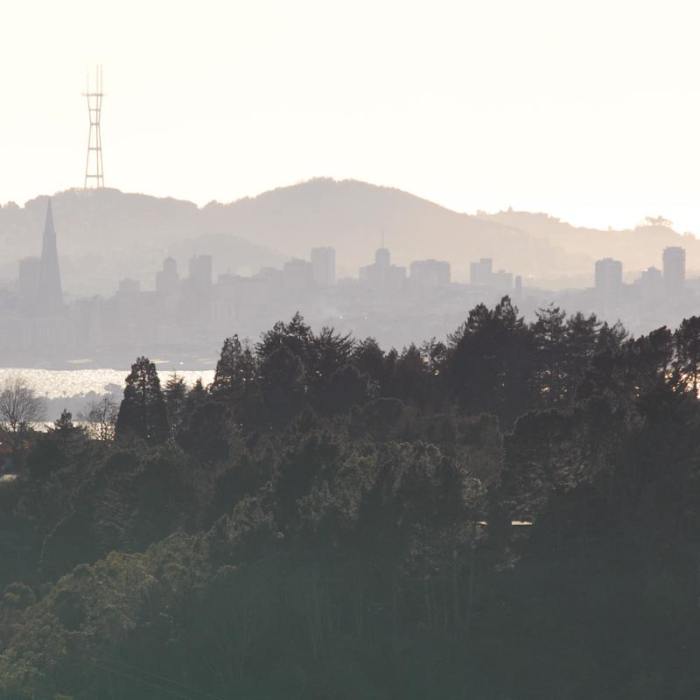 Near Nimitz Way Trail