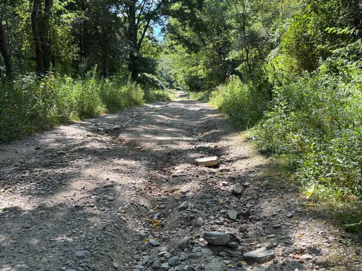 Lewis Road photo 3