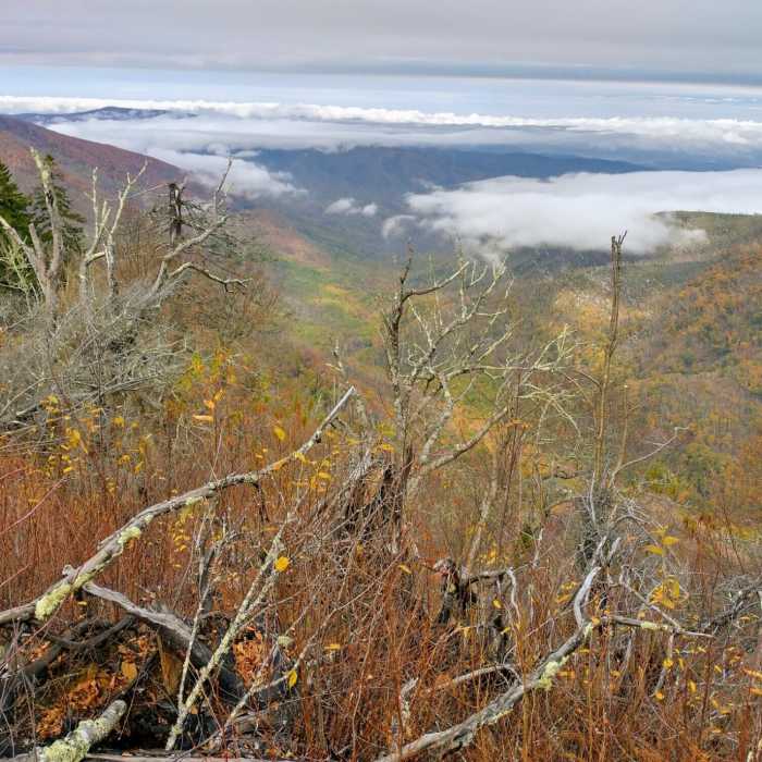 Near Sugarland Mountain Trail