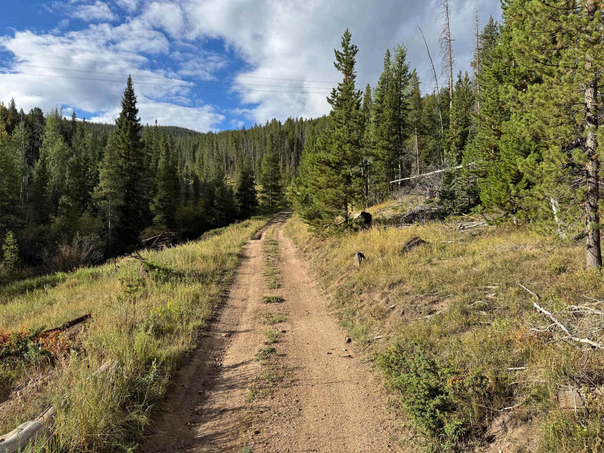 Galena Gulch Road photo 3