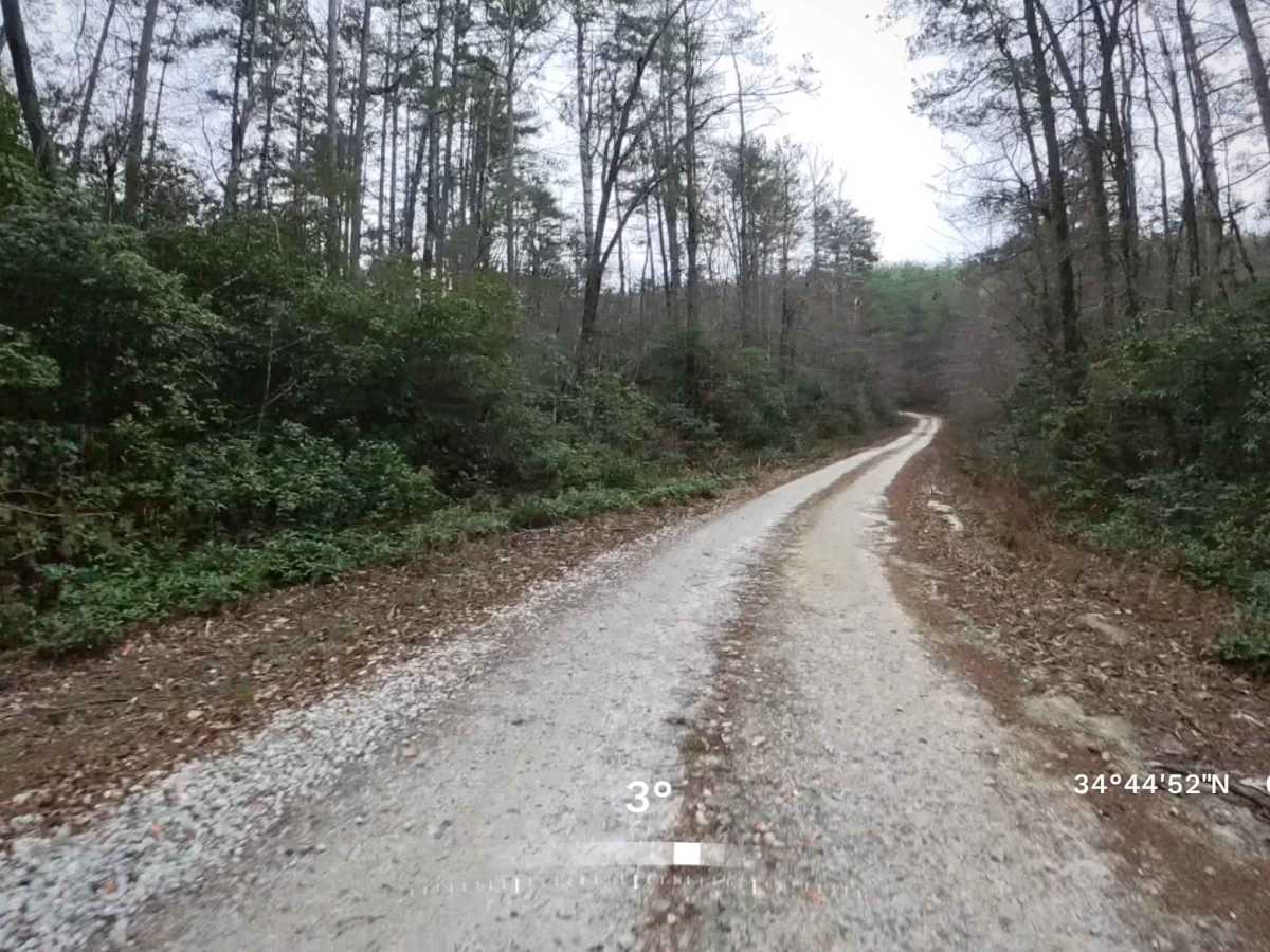 Stoneplace Road - FS 516 photo 4
