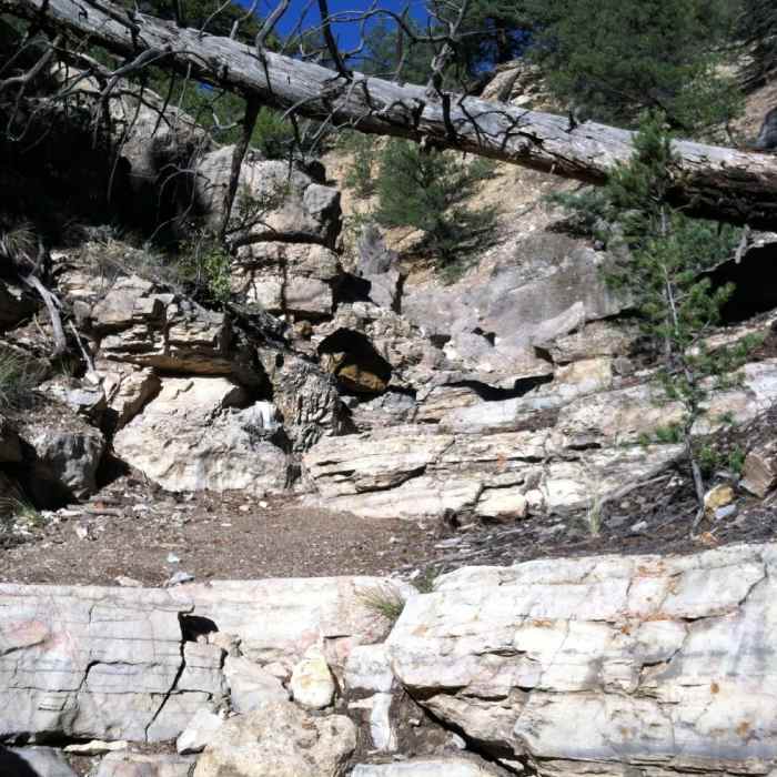 Near Cottonwood Gulch to Rumba Ridge Viewpoint