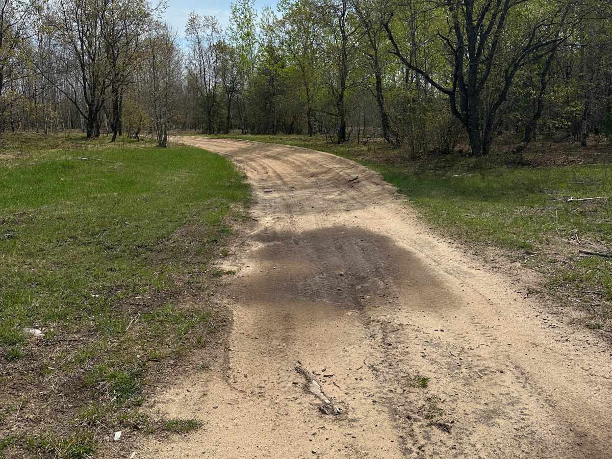 Blue Lake Road trail photo