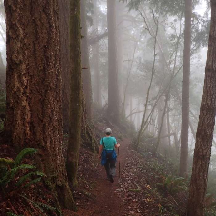 Near Humbug Mountain Trail