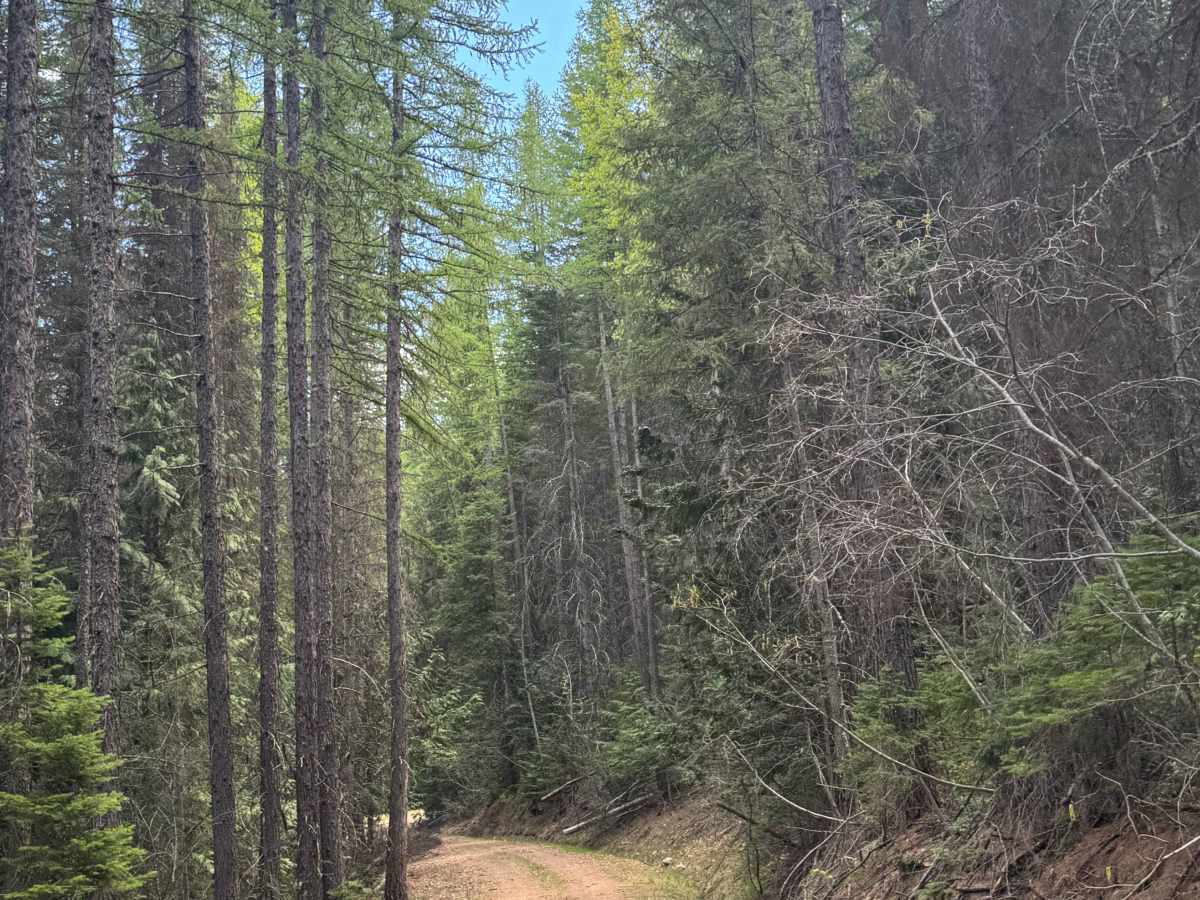 Barnaby Buttes  Trail photo 4