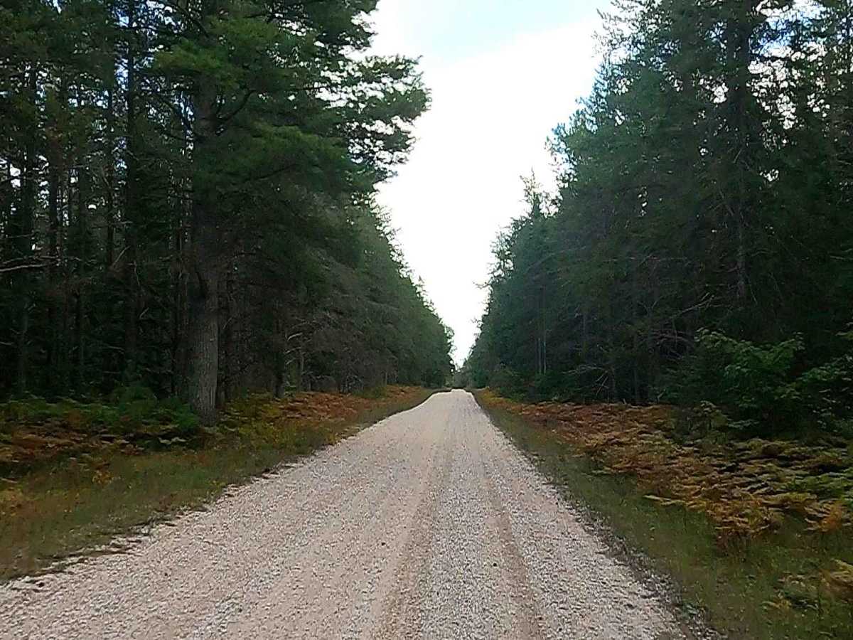 West Wilwin Road/ West Camp 2 Truck Trail - FS 3145 photo 3