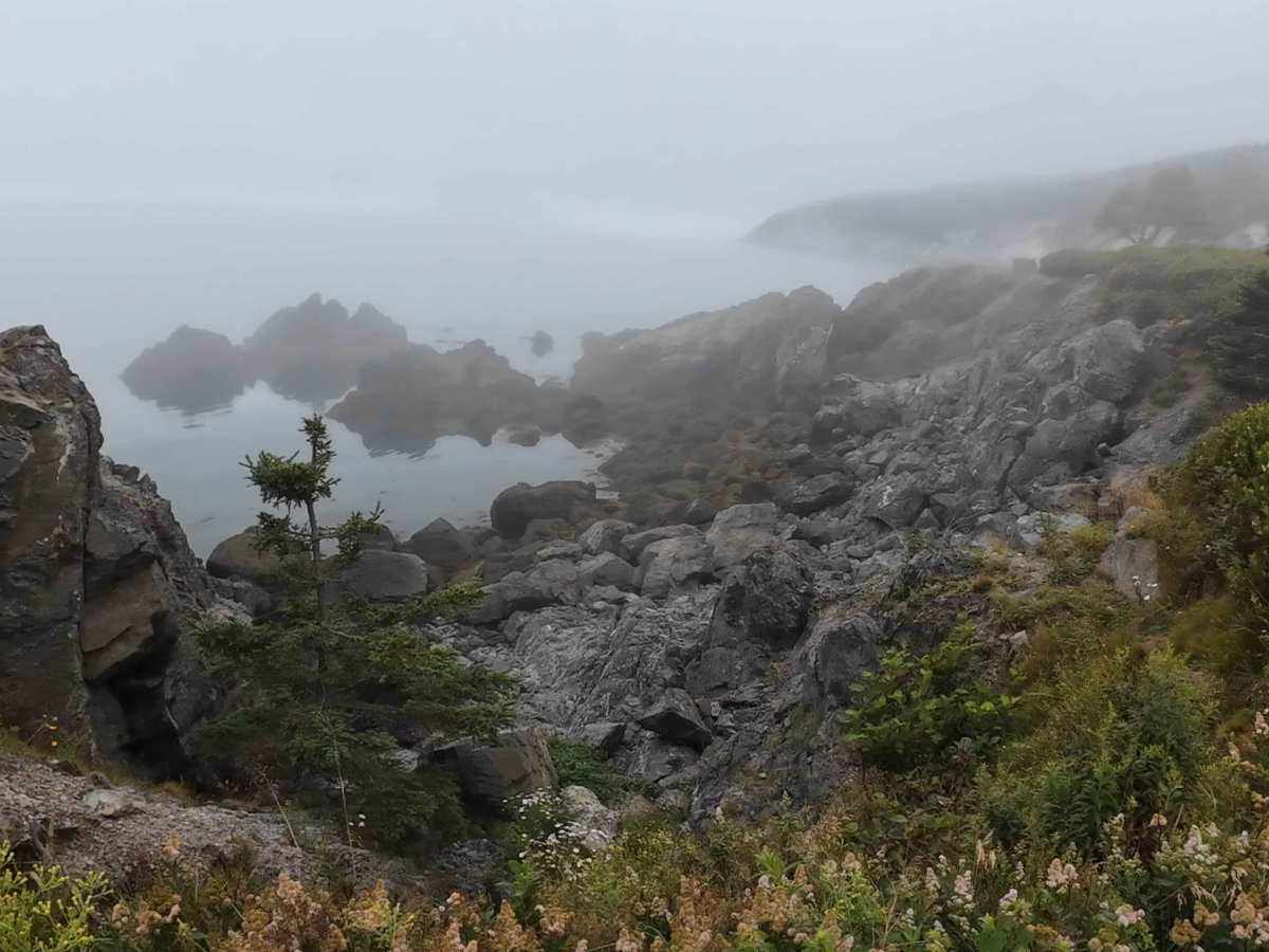 Cape Spencer (West Beach) trail photo
