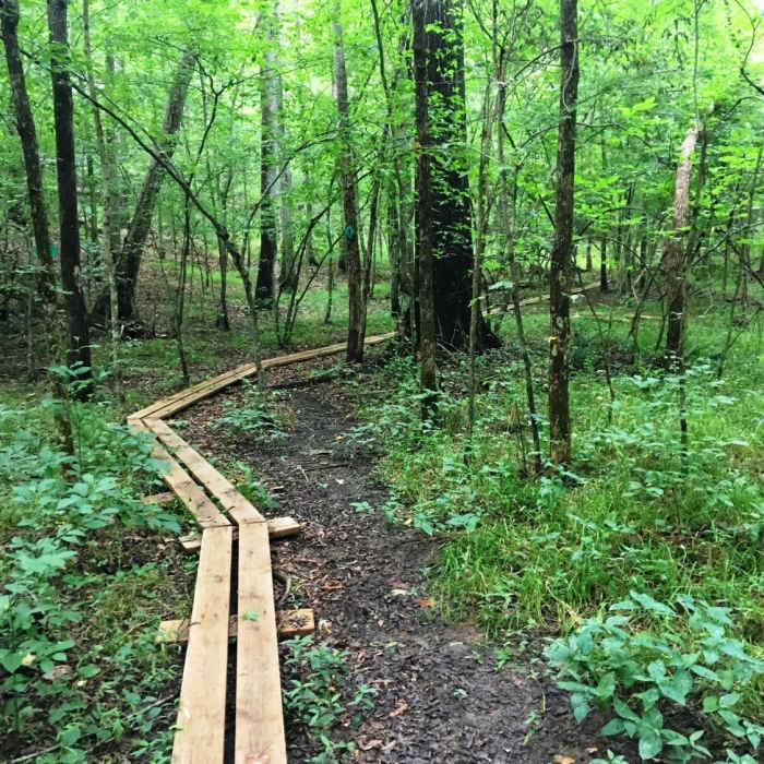 Near Homestead Trail