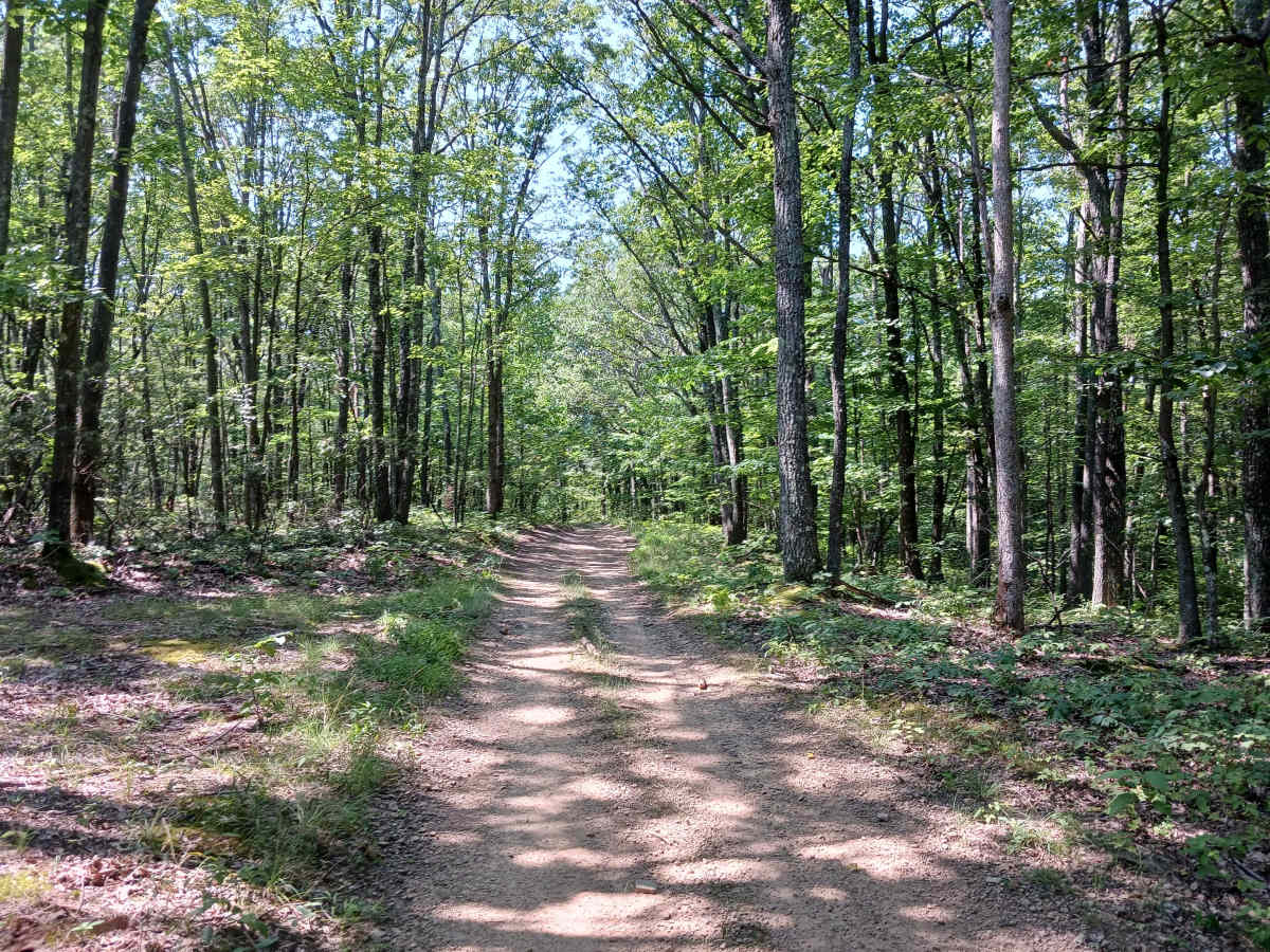 Fern Way - Rock Run Recreation Area photo 6