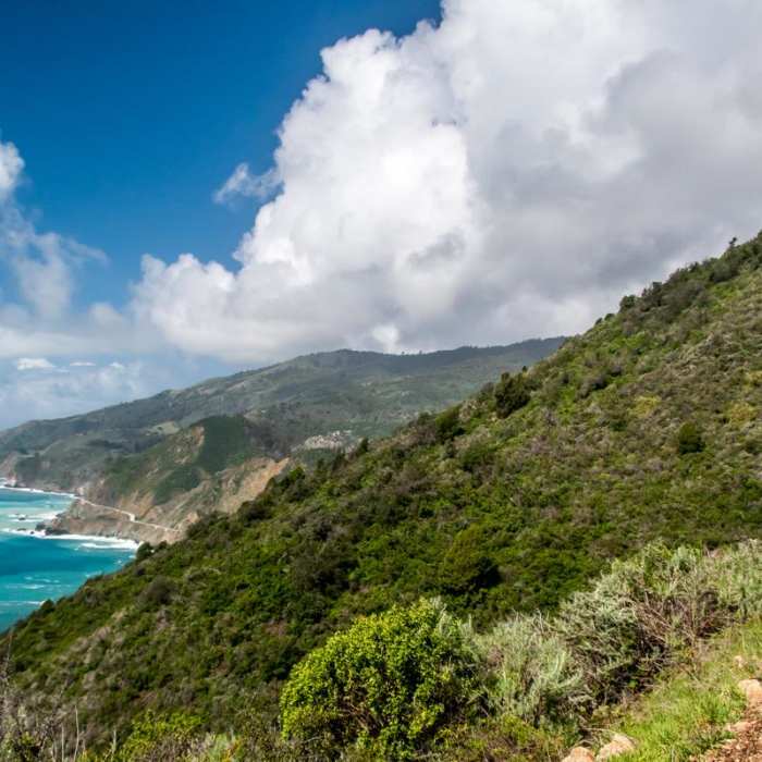 Near Kirk Creek / Vicente Flat Trail