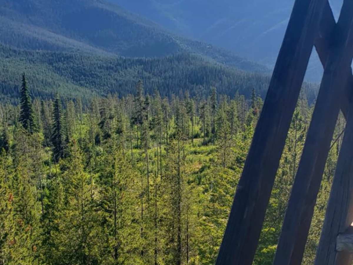 Up Up Lookout Loop photo 2