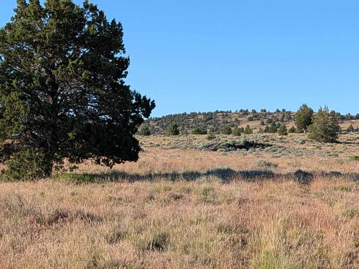 Barntop Spur Bypass photo 3