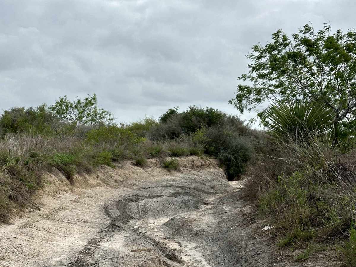 Mud to Sand Hills trail photo