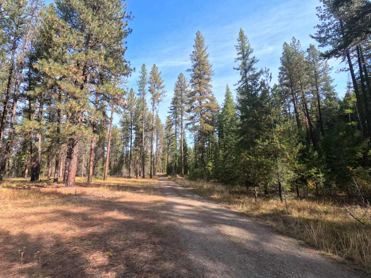 Winslow Camp Road photo 2