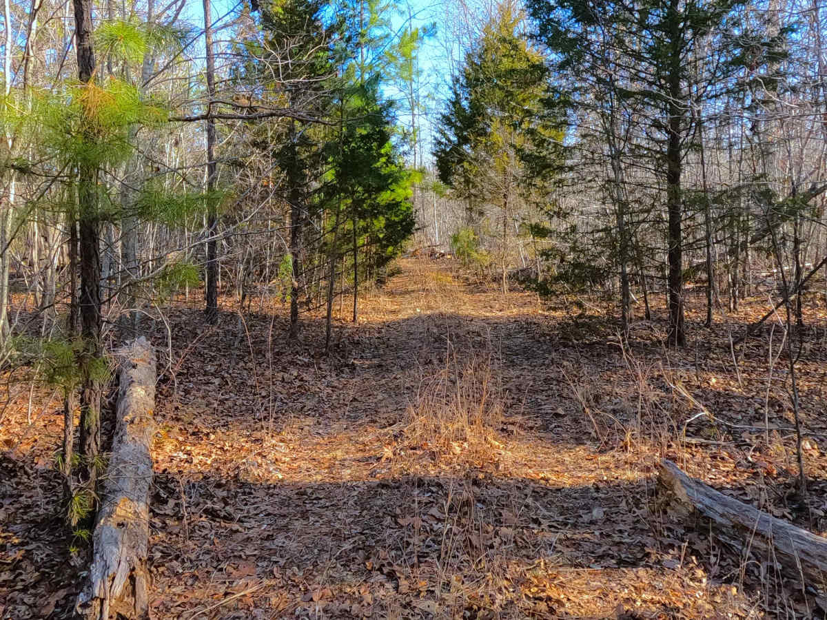 Duffy's Hollow Spur A - FS 419A  photo 5
