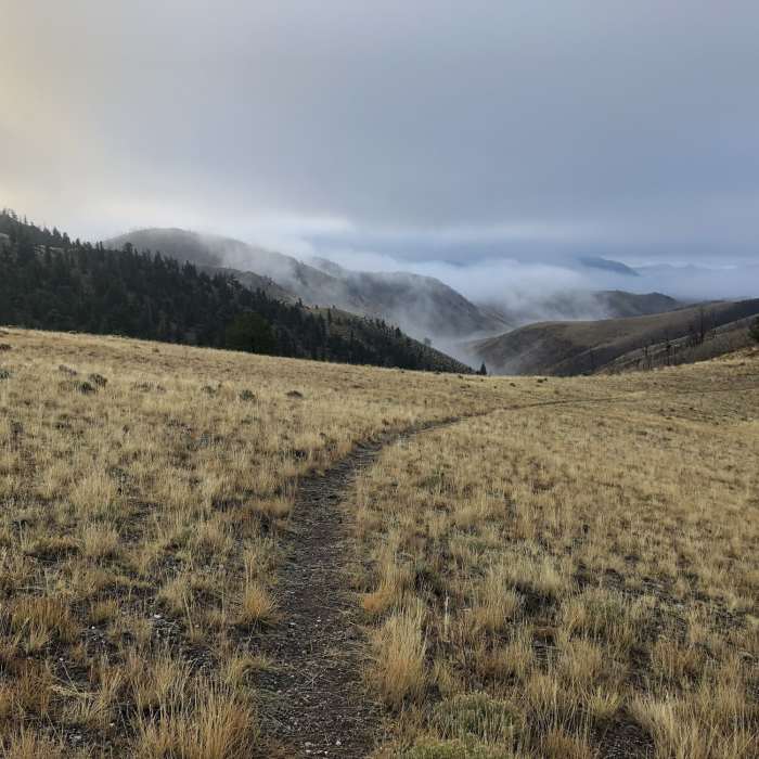 Sheep Mountain Trail | Hiking Trail Maps, Difficulty, Trail Status | onX