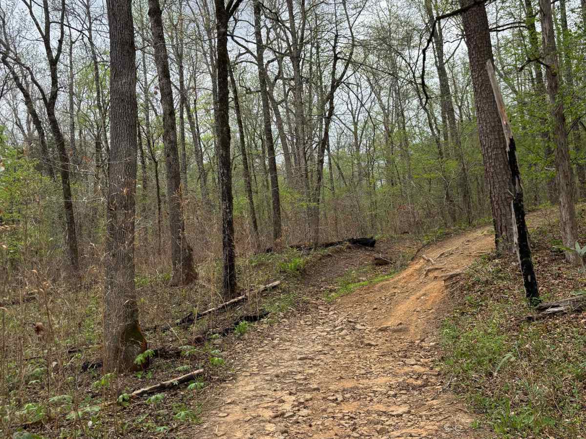 Brock Creek trail photo