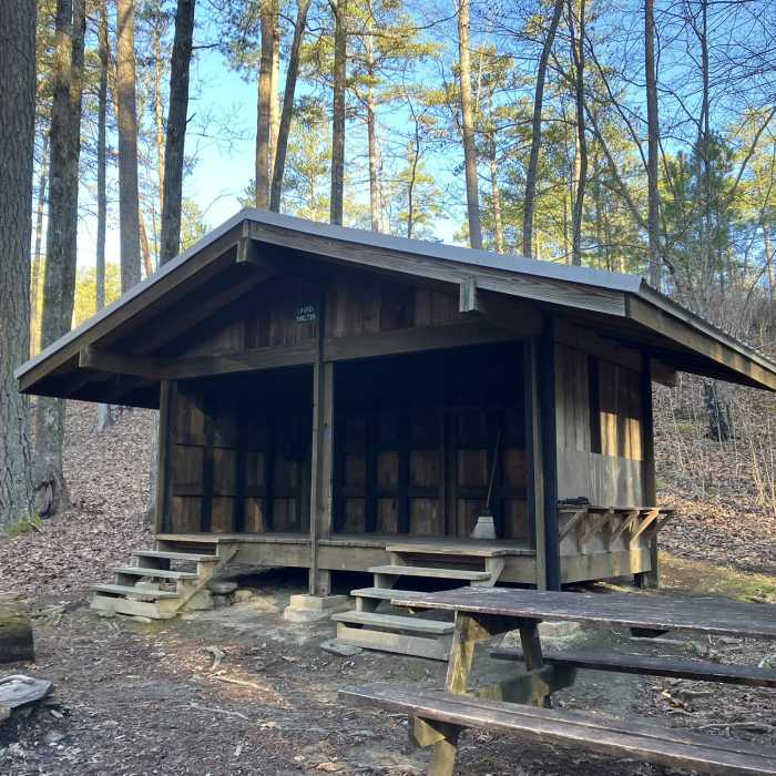 Near Pinhoti Trail: Section 10