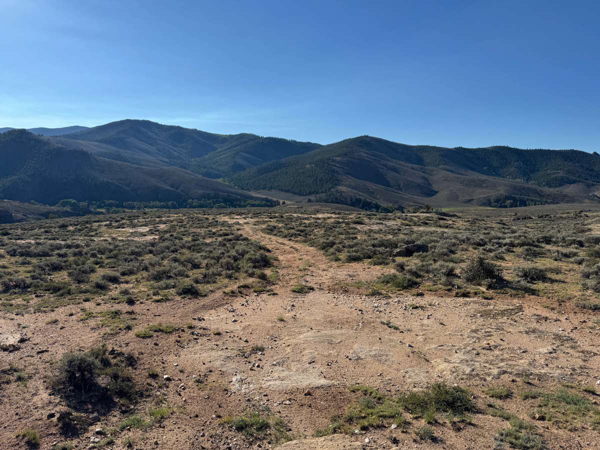 BLM 3102A trail photo