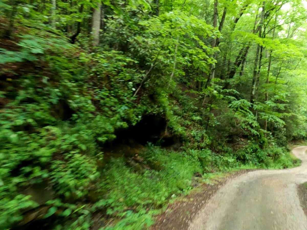 Myers Fork Road photo 5