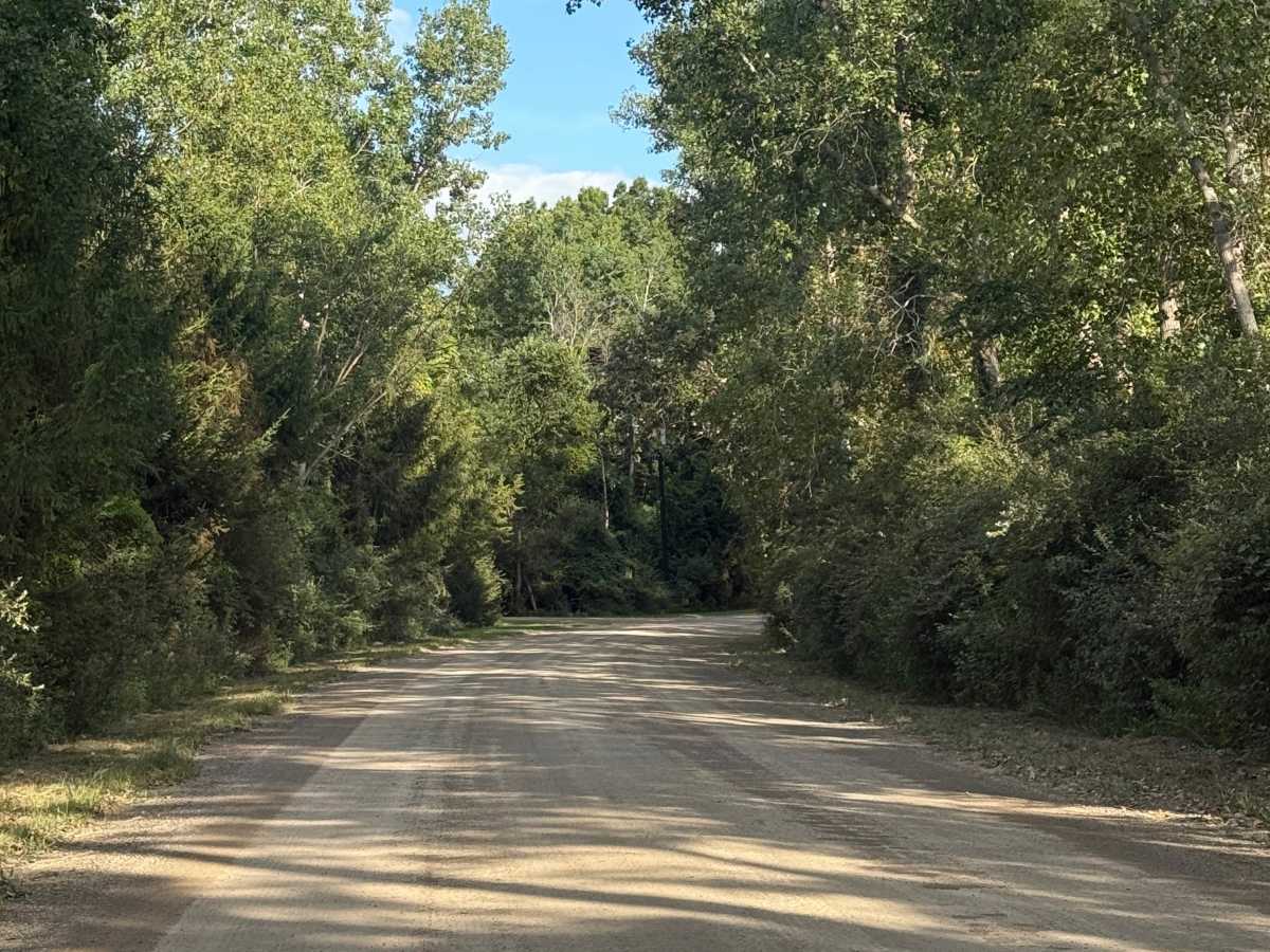 Cedar Lake Trail trail photo