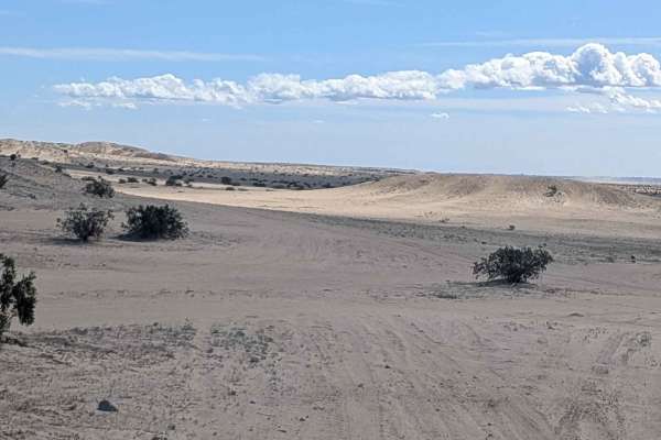 BLM 206