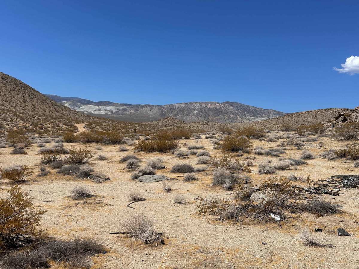 Blackbrush Trail photo 2