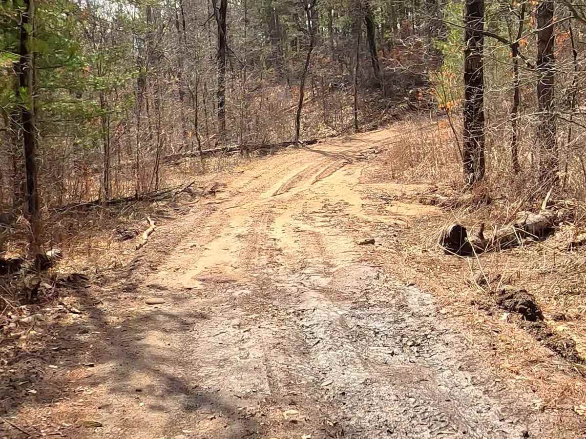 Alcona County Trail - ORV H7 photo 3
