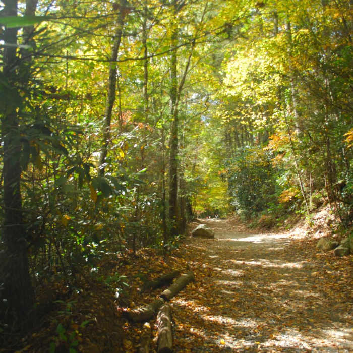 Near Triple Falls Near Triple Falls