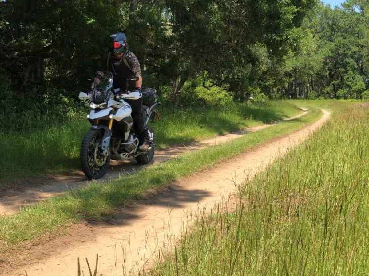 Francis Marion NF - SCAR Alternate photo 2