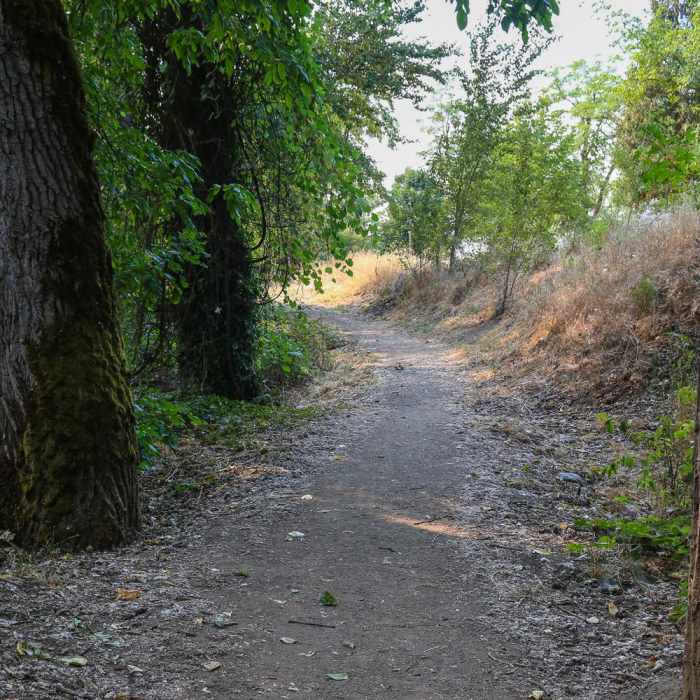 Near River's Edge Trail