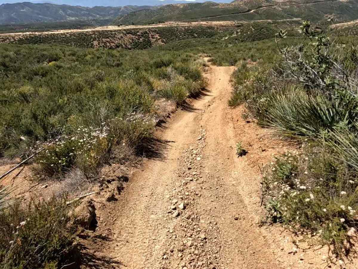 Flat OHV Trail photo 4