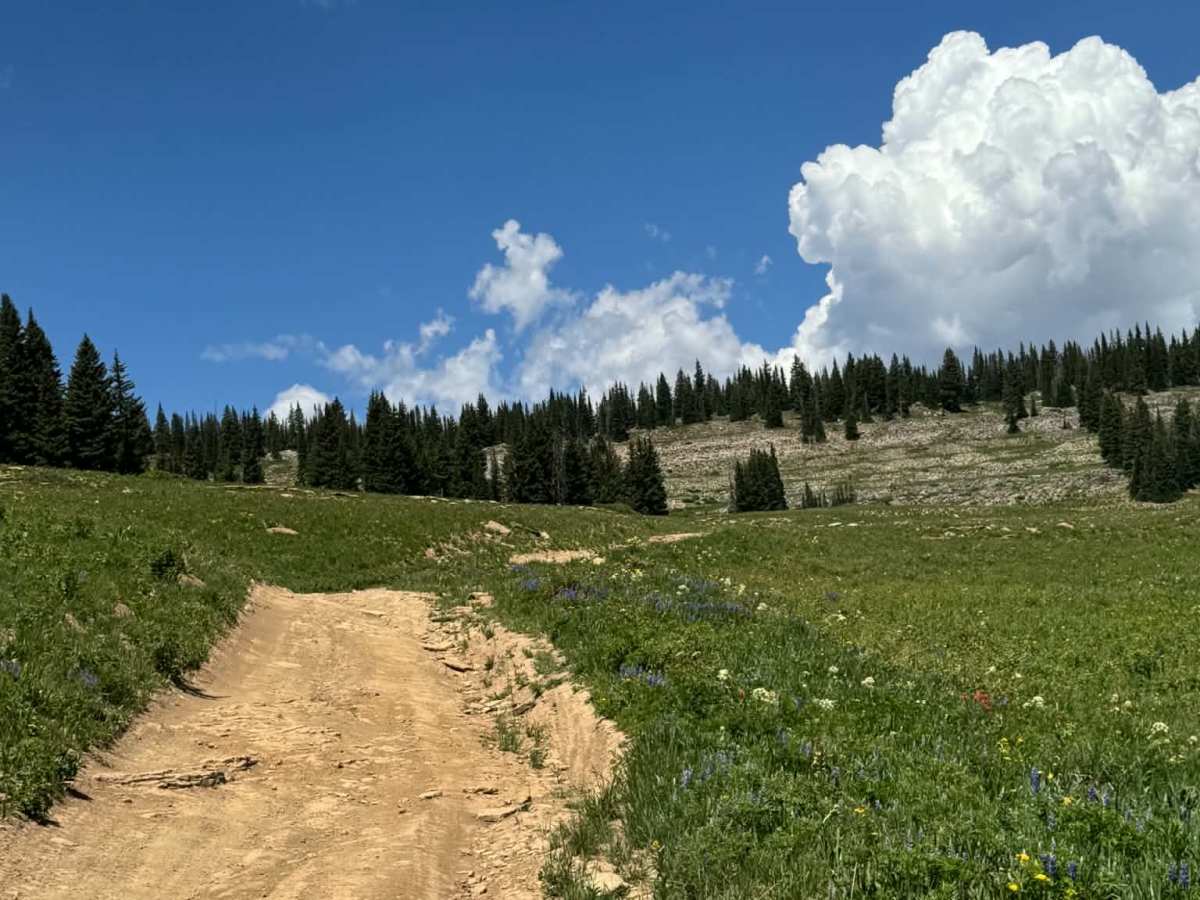 Transfer Trail North photo 5