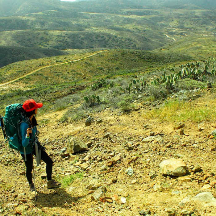 Near Trans Catalina Trail (TCT) Near Trans Catalina Trail (TCT)