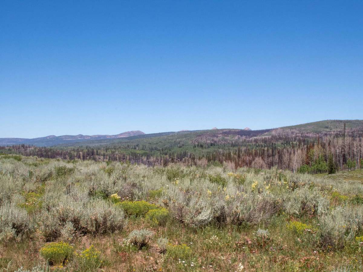 Cold Springs photo 6