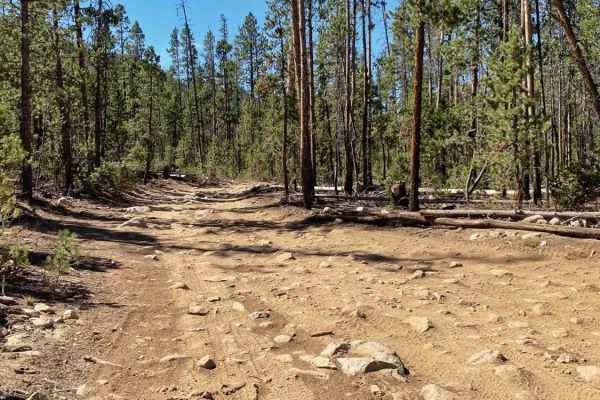 Yellow Belly Lake and Hiking Trails