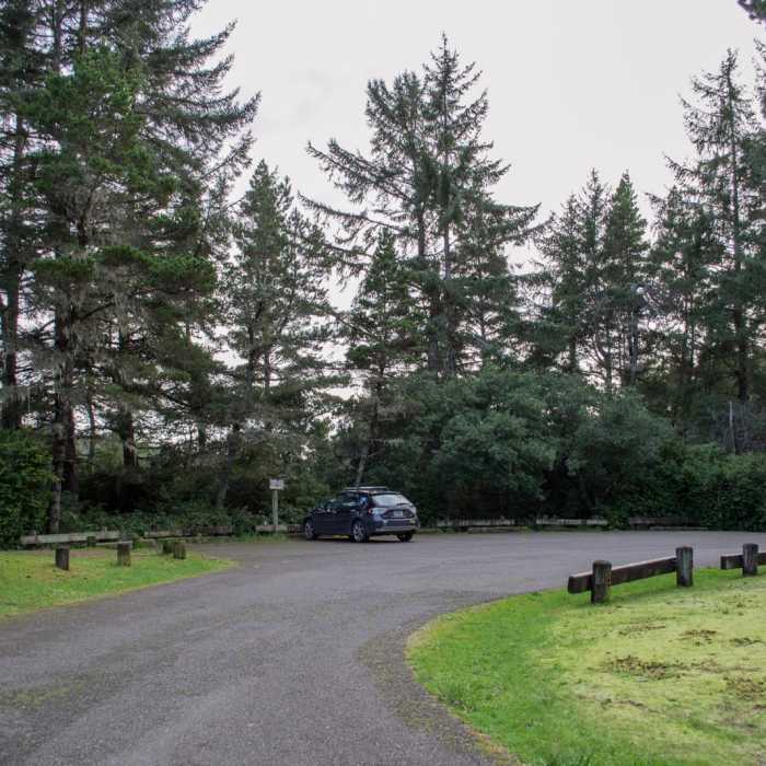 Near Chief Tsiltcoos Trail