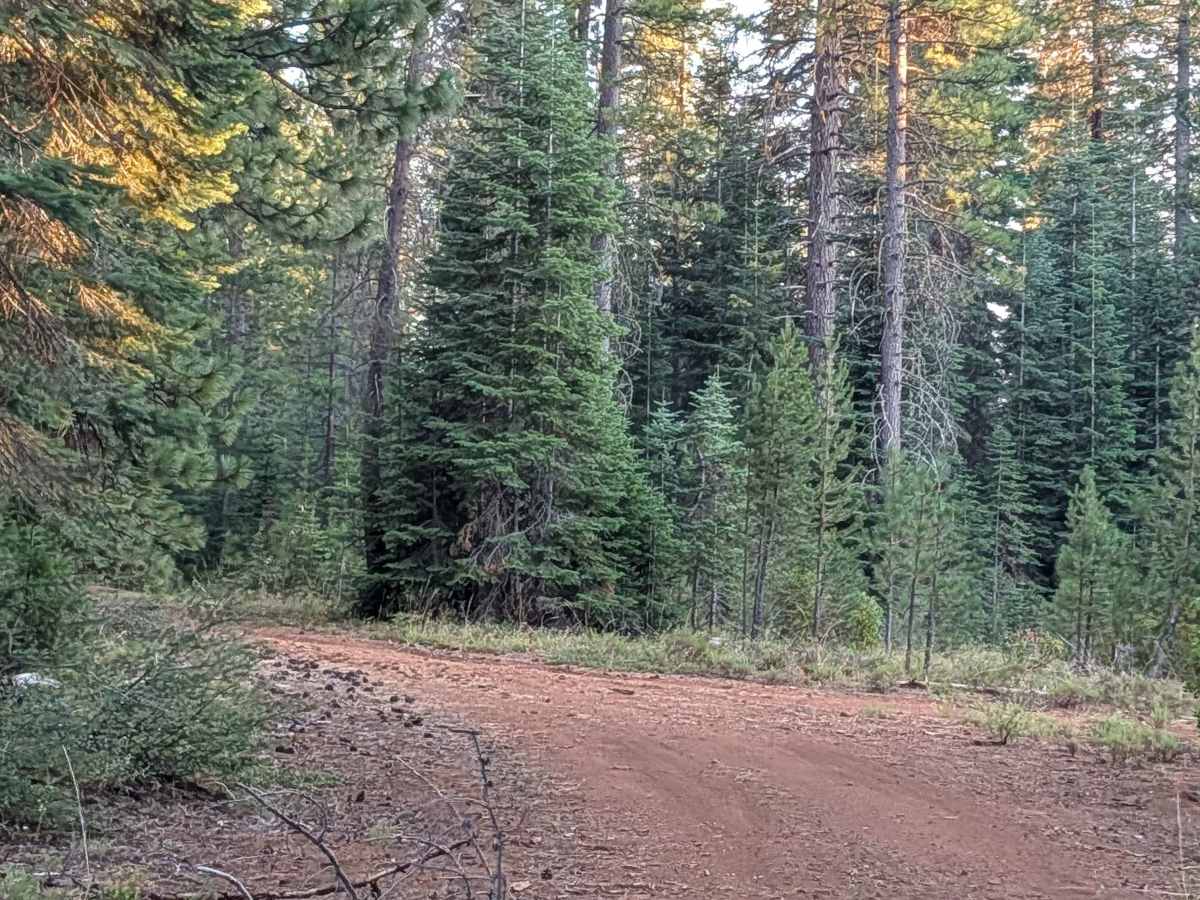 White Deer Lake East - FS 40N07A photo 2