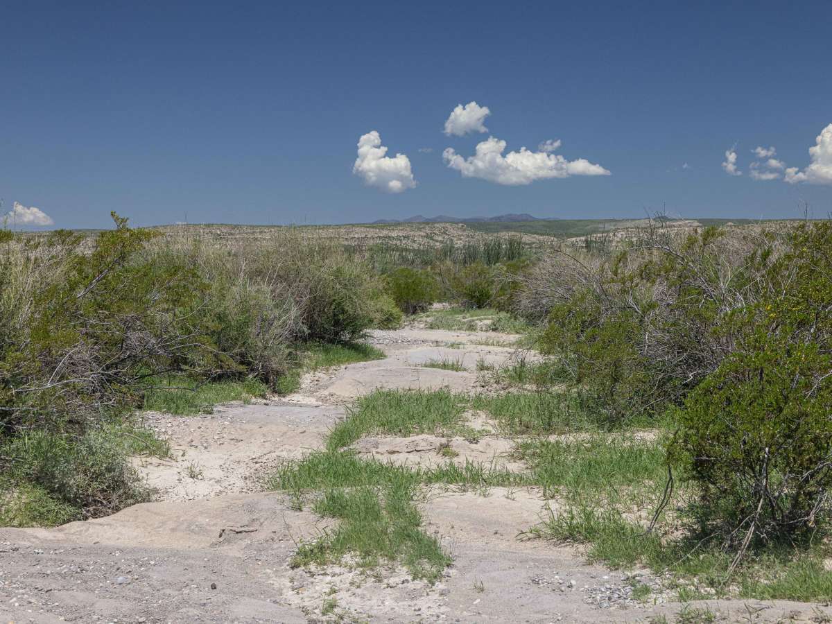 BBRSP Casa Ramon Trail trail photo