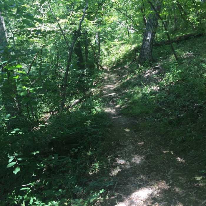 Average terrain. Near North Loop Trail