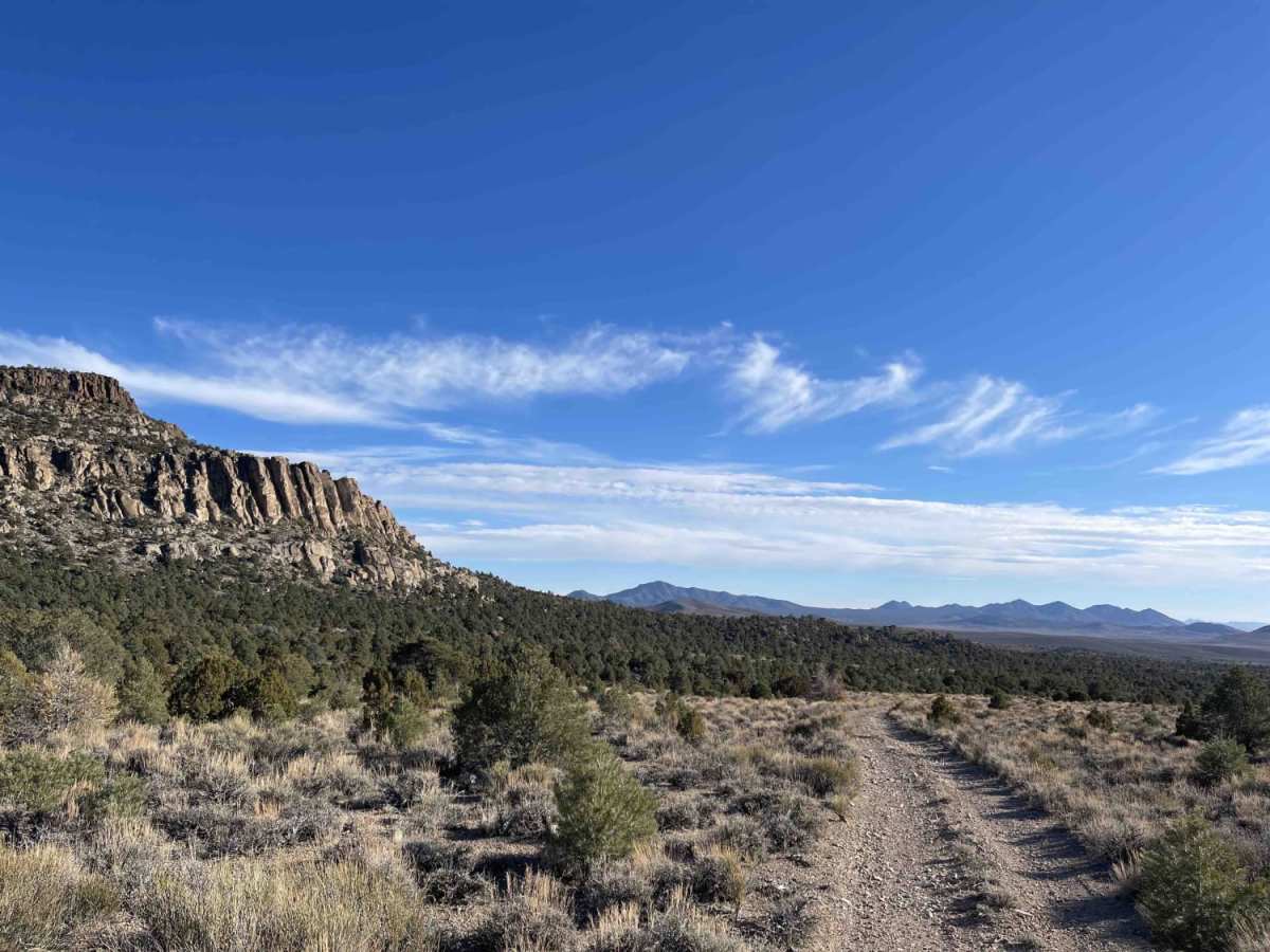 Silver King Side Loop photo 6