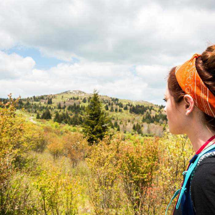 Near Massie Gap to Mt Rogers Summit Out and Back
