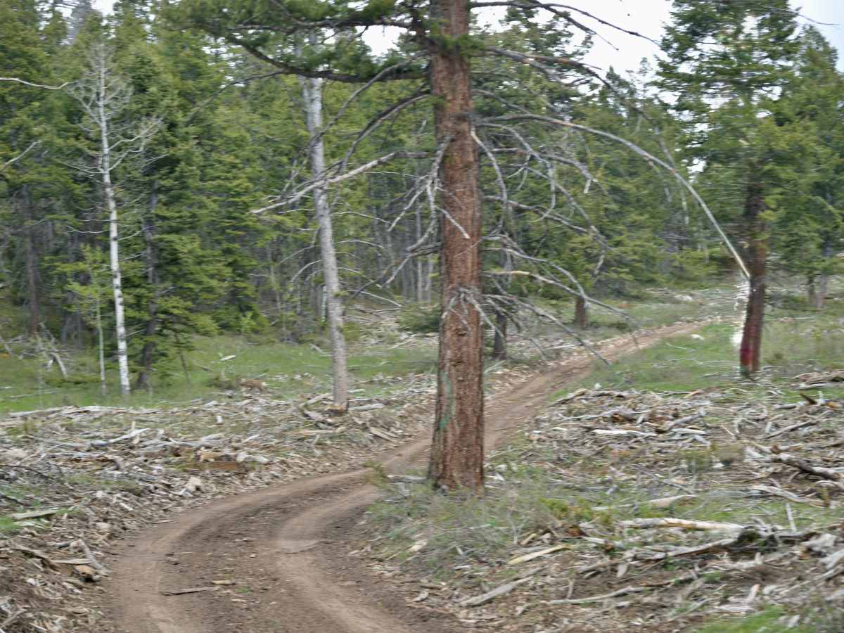 McKee Ridge - FS 10254 photo 4