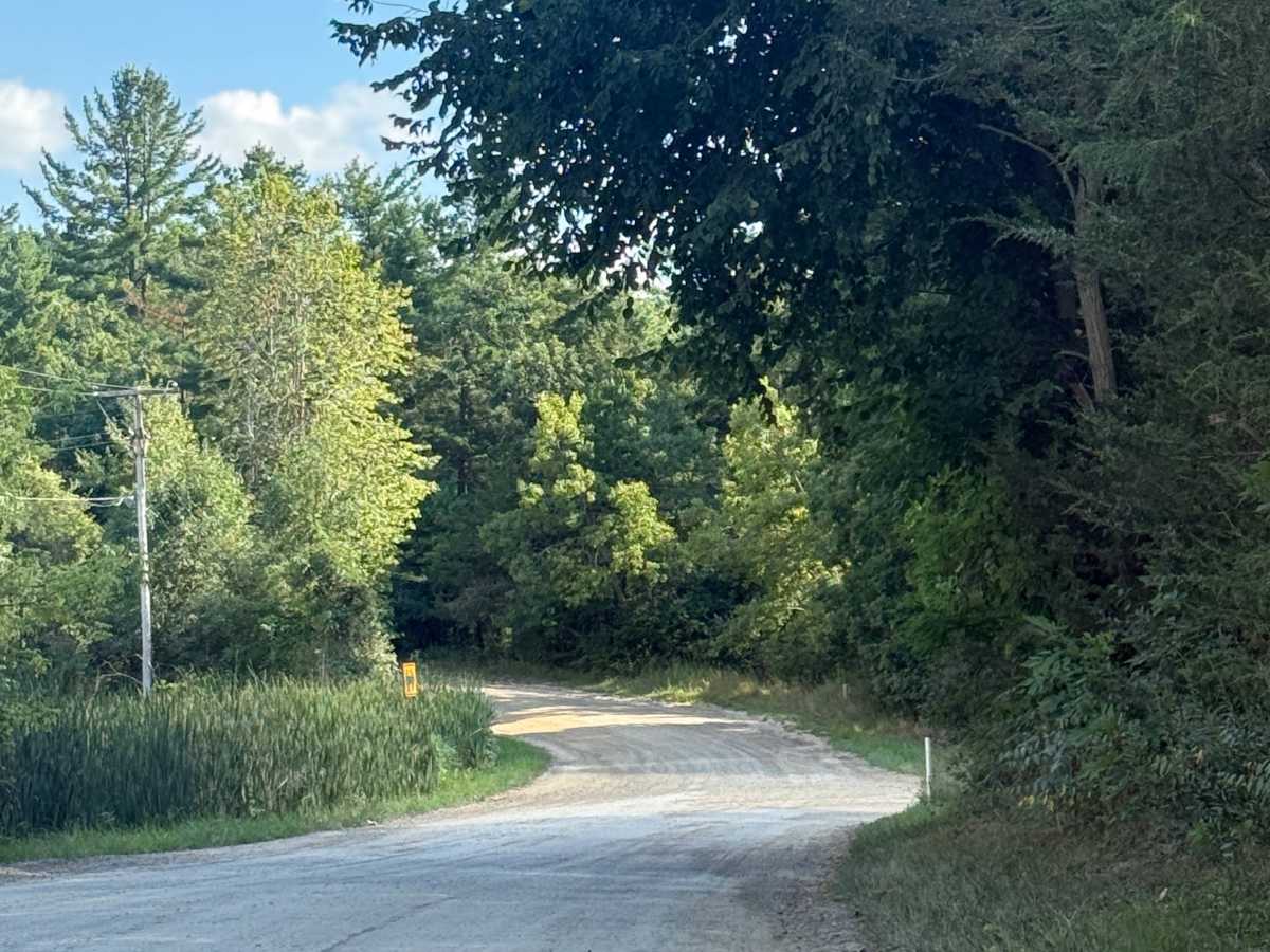 Silver Hill Trail photo 3