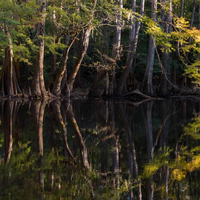 Near Weston Lake Loop Near Weston Lake Loop