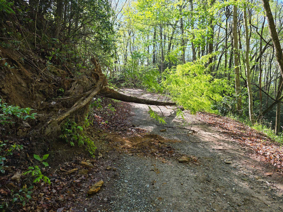 Webb Mill Road photo 2