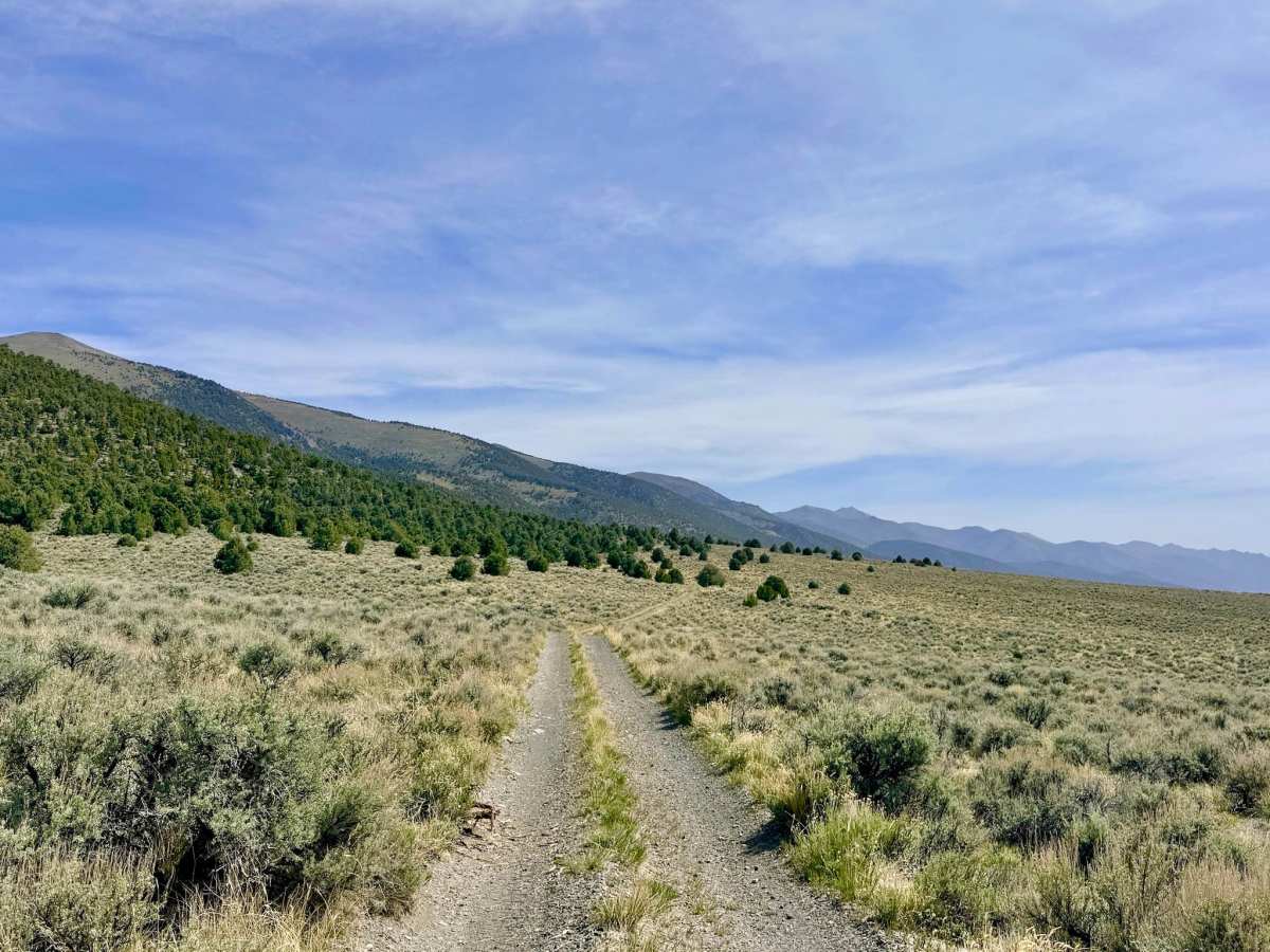 Dry Canyon Alternate - FS 43231 trail photo